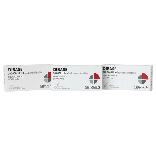 DIBASE 300.000 • PROMO 2+1